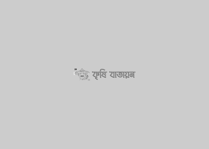 বঙ্গবন্ধুর কৃষি উন্নয়ন ভাবনাঃ ড. মো. আব্দুর রাজ্জাক এমপি, মাননীয় মন্ত্রী, কৃষি মন্ত্রণালয়