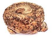 ঔষধী গুণে ভরা ওলকচুর চাষ পদ্ধতি